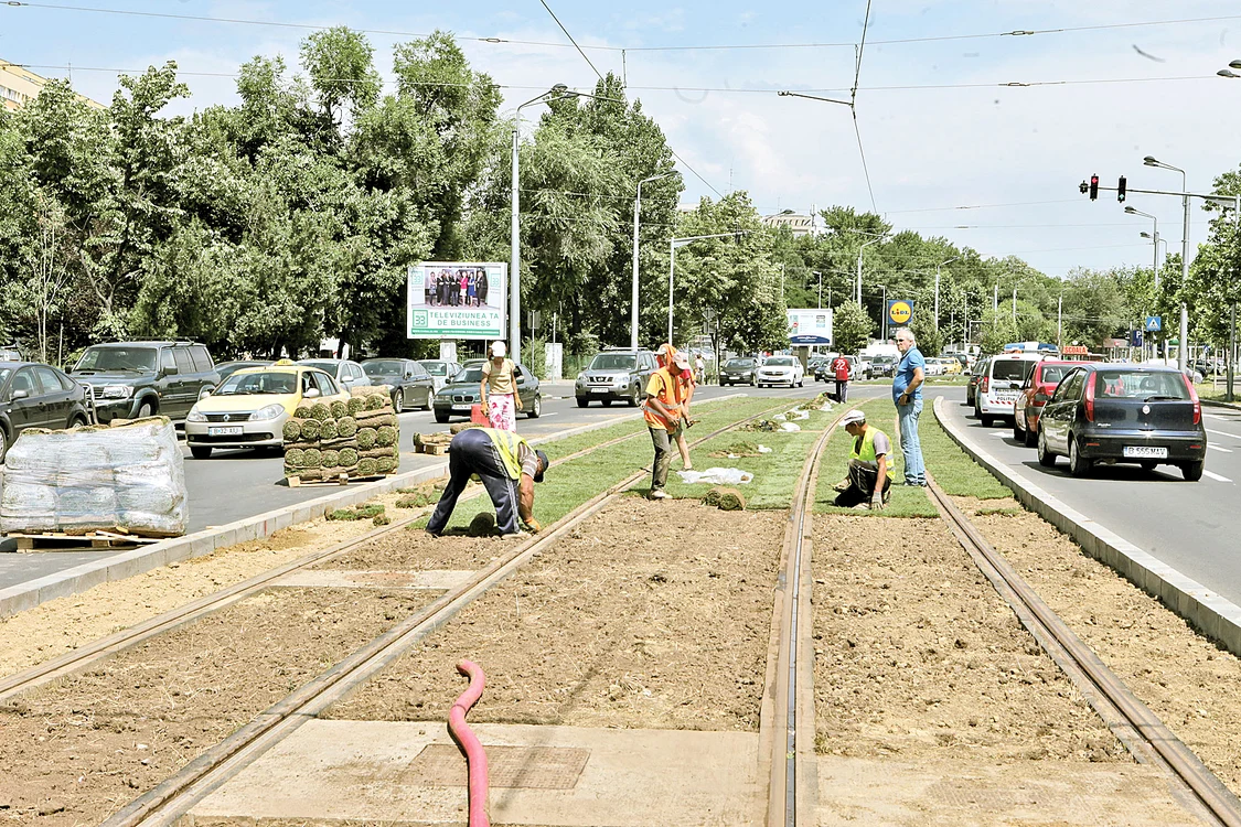 Lucrările nu sunt gata, încă  se plantează iarbă între șine