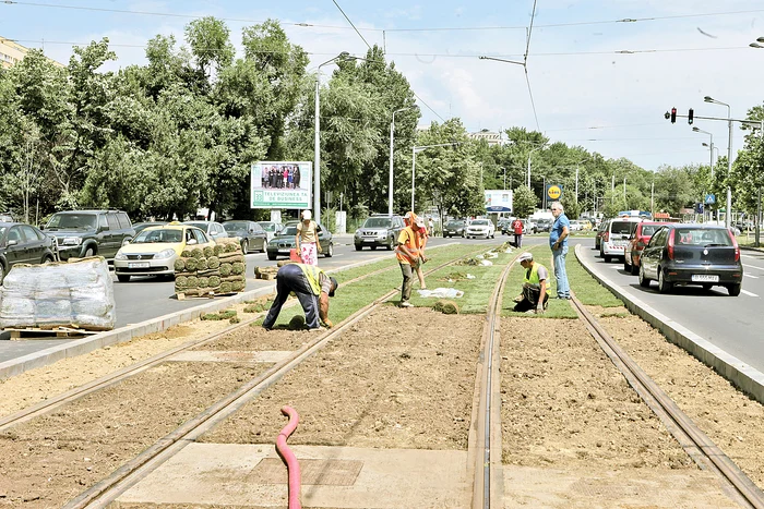 Lucrările nu sunt gata, încă se plantează iarbă între șine