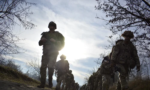 Exercitiu militar FOTO MAPN jpg