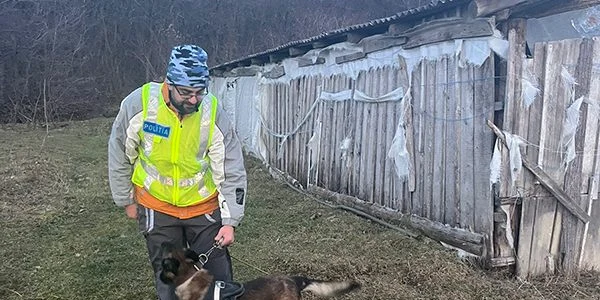 Câine de urmă Coh jpg