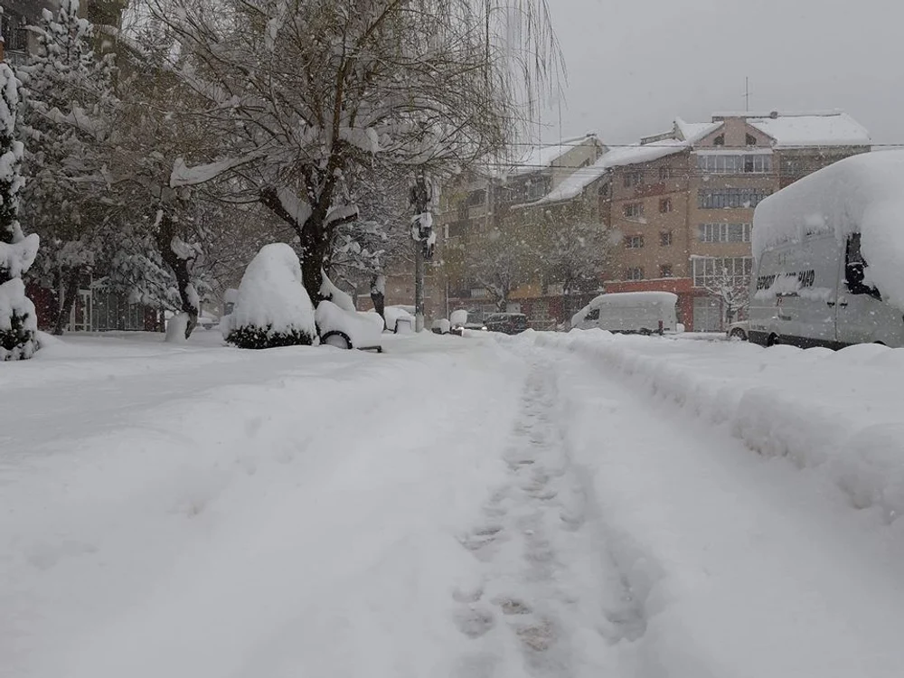 Peste noapte (23∕24 martie), a nins viscolit în aprope toată ţaraFoto: captură Facebook