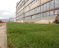 prima gradina de pe acoperisul unei clădiri a fost amenajata la cluj