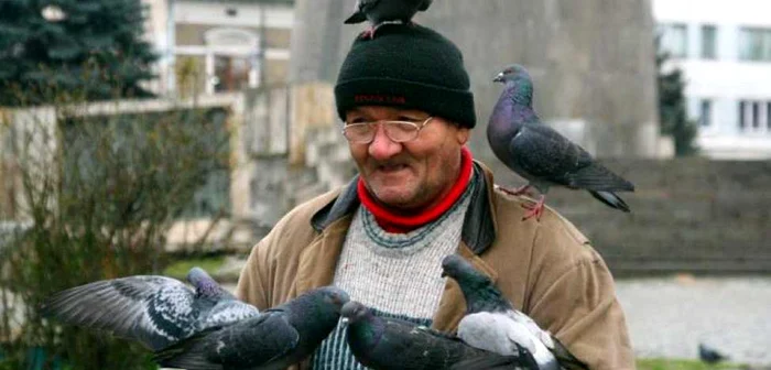 „Răsfăţaţii“ cu aripi din Piaţa Mihai Viteazu FOTO: Dan Bodea