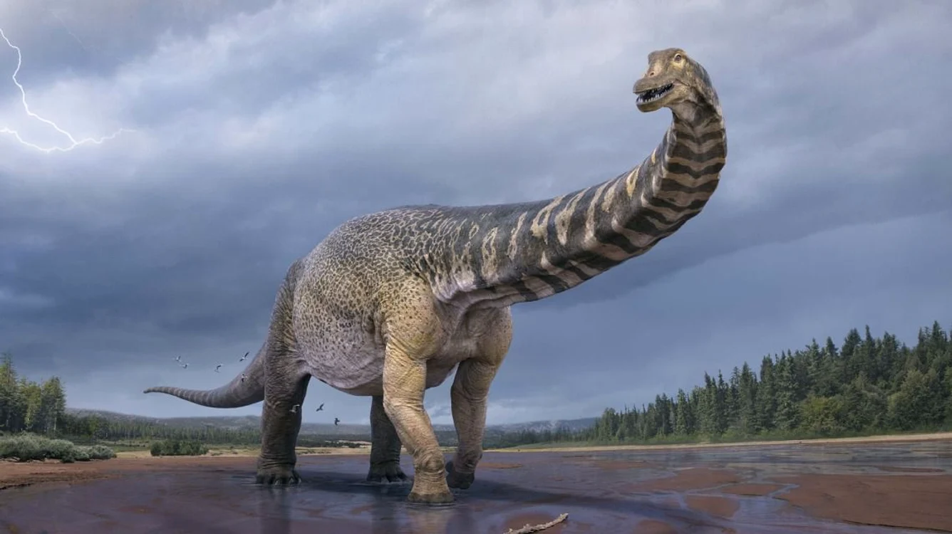 Dinozaurii au trăit de-a lungul întregului glob