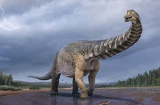 Unul dintre cei mai mari dinozauri care au trăit vreodată, descoperit în Australia jpeg