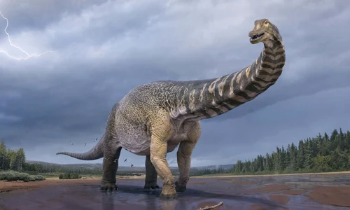 Unul dintre cei mai mari dinozauri care au trăit vreodată, descoperit în Australia jpeg