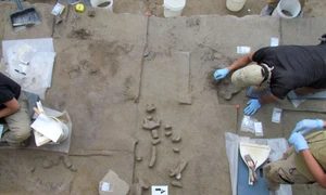 Descoperirea unor unelte din fildeș de mamut, în Alaska (© Brian Wygal)