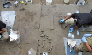 Descoperirea unor unelte din fildeș de mamut, în Alaska (© Brian Wygal)