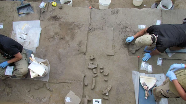 Descoperirea unor unelte din fildeș de mamut, în Alaska (© Brian Wygal)