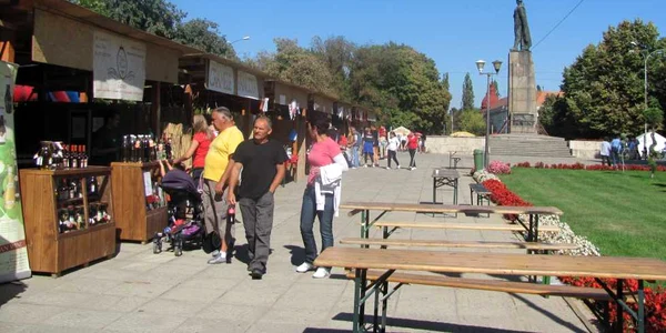 Târgul Pălincarilor şi Festivalul Vinului