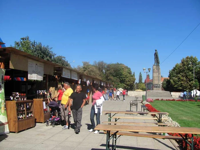 Târgul Pălincarilor şi Festivalul Vinului