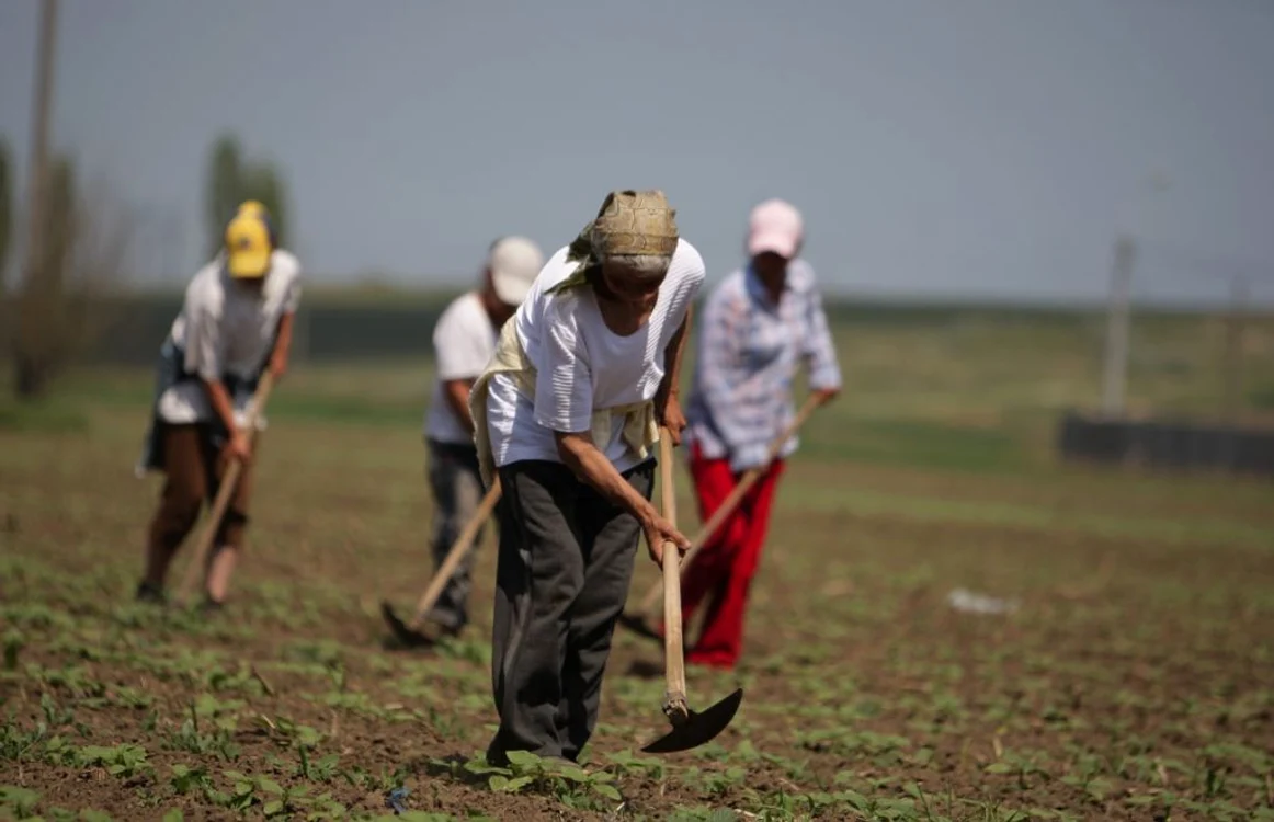 Zilierii vor avea voie să muncească maxim 12 ore pe zi, potrivit proiectului de lege