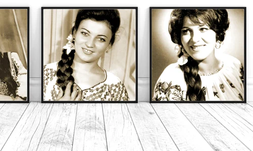banner populare cu par lung jpg