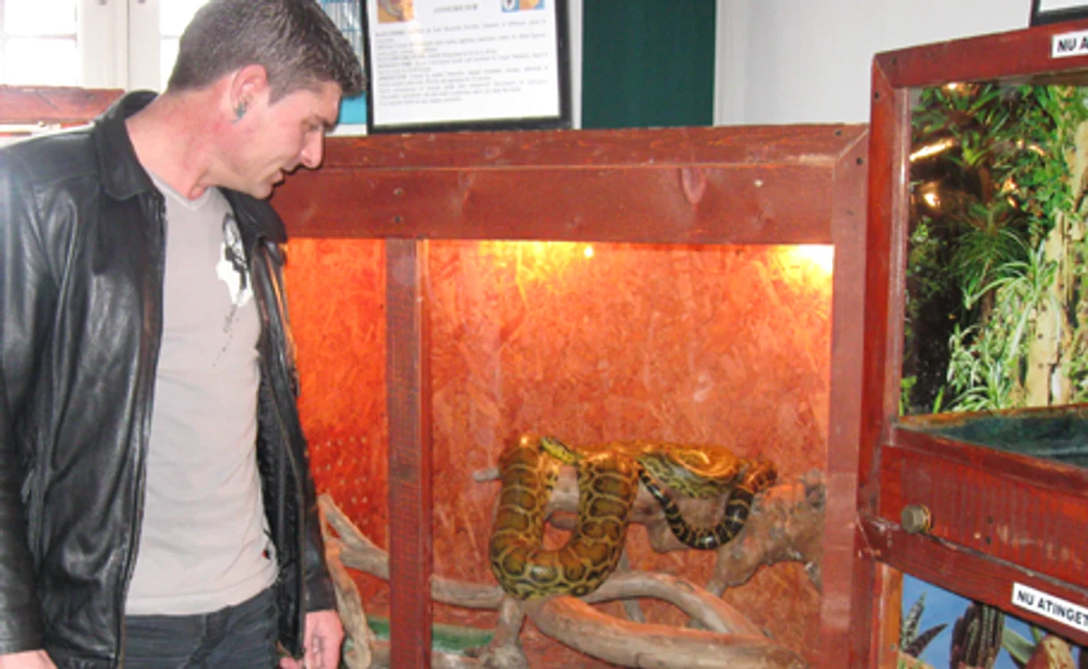 Proprietarul reptilelor se mândeşte cu speciile rare din colecţie