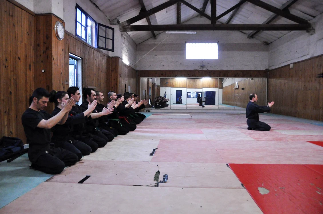 Despre Dojo jpeg