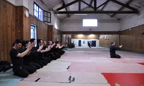 Despre Dojo jpeg