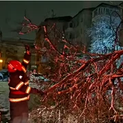 copaci cazuti DSU 17 feb png