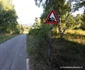 Transluncani Foto Daniel Guță ADEVĂRUL (37) JPG