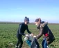 ecologizare pancota