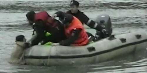 Tânăra a fost scoasă din apele reci ale râului de pompieri