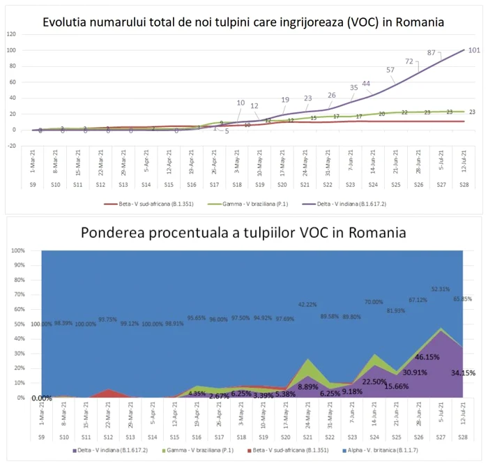 variante VOC jurma