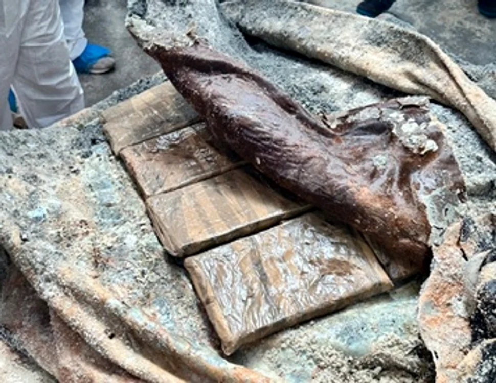 Droguri găsite ascunse în piei de animale Foto: Policia Judiciaria