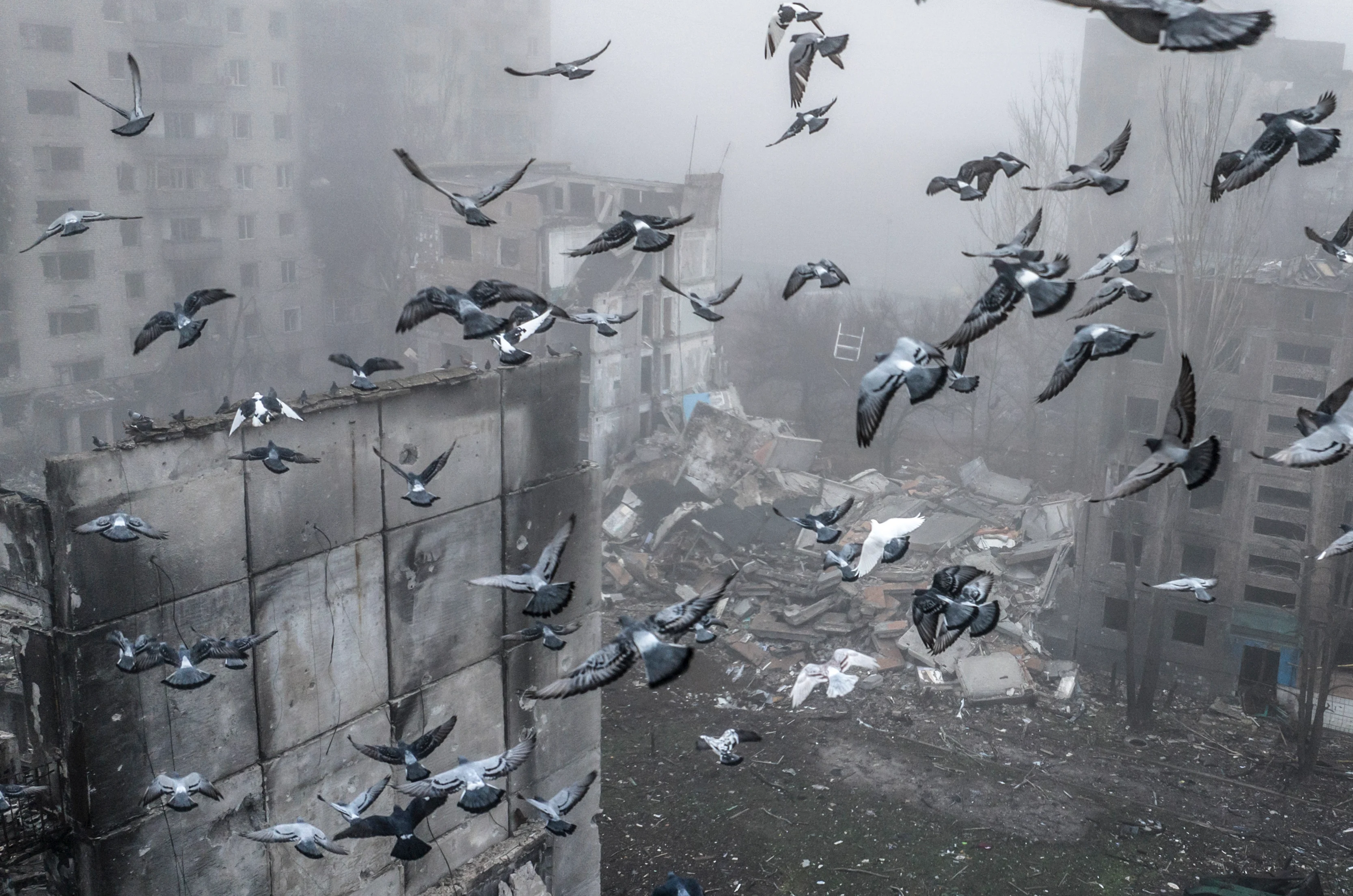 Soldații ucraineni din prima linie, despre planul de pace al SUA: „Băieții noștri sunt în tranșee. Ei au dreptul să decidă”