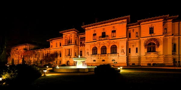 palatul cotroceni Sursa foto