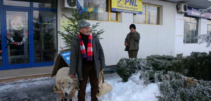 Constantin Crăciun şi oaia lui, Frumuşica   Foto: Ştefan Borcea