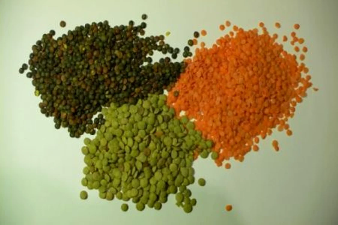 tipuri de linte 1 jpeg
