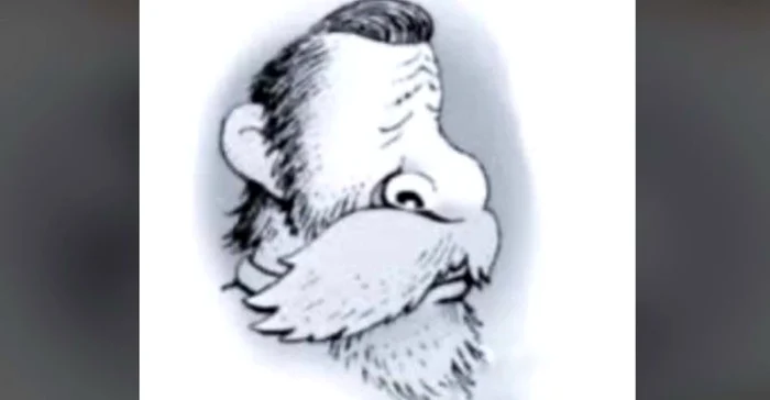 Iluzia optică pe care doar 10% din oameni o pot descifra / foto: TikTok