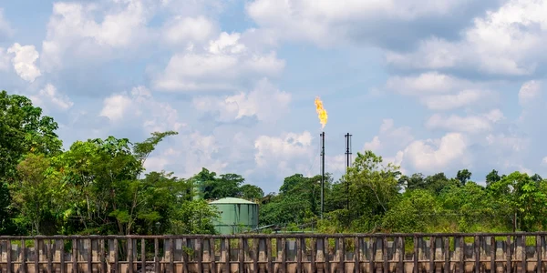 petrol exploatare yasuni amazon ecuador referendum shutterstock jpg