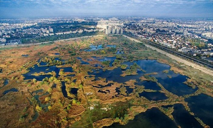 Cotidianul
britanic „The Guardian” laudă Parcul Natural Văcăreşti FOTO The Guardian