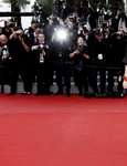 vedetă pe covorul roșu  foto   Shutterstock jpg