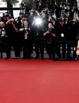 vedetă pe covorul roșu  foto   Shutterstock jpg