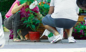 CLIIMA20120906 0129 1 jpeg