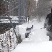 sua ger iarna vortex polar FOTO Reuters