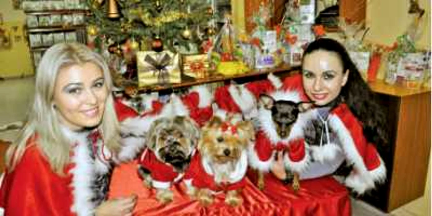 Costume de Moş Crăciun, botoşei şi parfumuri sunt produsele pentru câini şi pisici puse în vânzare la târgul deschis în mallul din Baia Mare