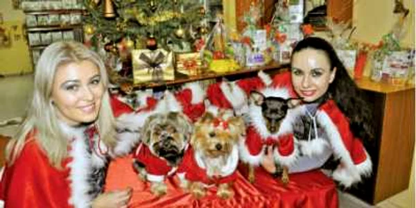 Costume de Moş Crăciun, botoşei şi parfumuri sunt produsele pentru câini şi pisici puse în vânzare la târgul deschis în mallul din Baia Mare