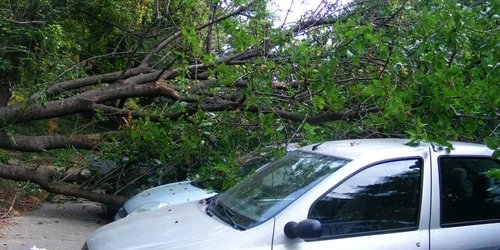 maşina a fost serios avariată