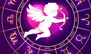 cub horoscopul dragostei png