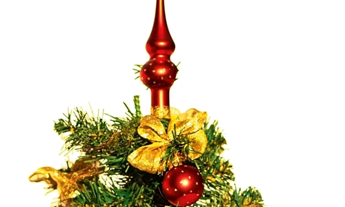 1 55598 original jpg jpeg