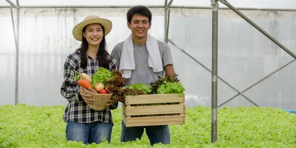 filipinezi agricultura solar Foto Shuttesrtock jpg