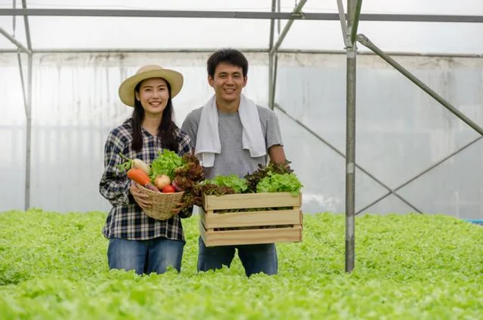 Doi tineri filipinezi, băiat și fată, într-un solar cu lădițe cu salate și zarzavat în mâini