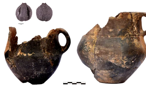 Semințe de struguri și vase din Qaraçinar, Azerbaidjan (© A. Decaix, ANR SWEED and the Mission “Boyuk Kesik” & ANR KUR(A)GAN)