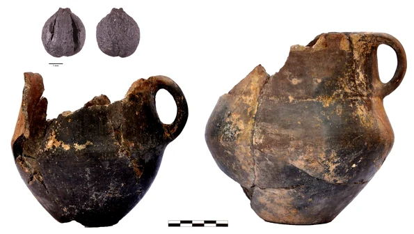 Semințe de struguri și vase din Qaraçinar, Azerbaidjan (© A. Decaix, ANR SWEED and the Mission “Boyuk Kesik” & ANR KUR(A)GAN)