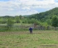 Comuna Bătrâna din Hunedoara  Foto Daniel Guță  ADEVĂRUL (32) jpg