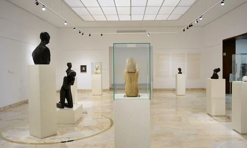 S a redeschis Sala C  Brâncuşi la MNAR jpeg