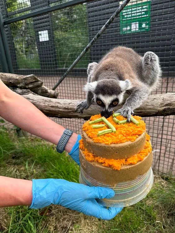 Stumpy și-a sărbătorit ziua așa cum se cuvine (Foto: Instagram)