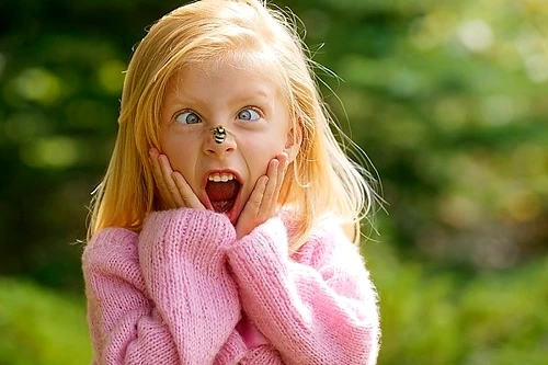 1 69817 original jpg jpeg